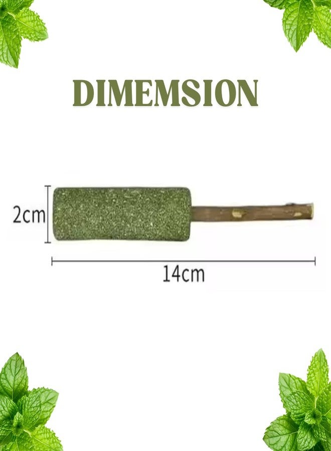 PET FUN مجموعة ألعاب كرات النعناع البري من بيت فن | مكافآت بوكي طبيعية بنكهة النعناع البري لتنظيف الأسنان والمضغ واللعق | نفس منعش ومرح للقطط والقطط الصغيرة - Image 3